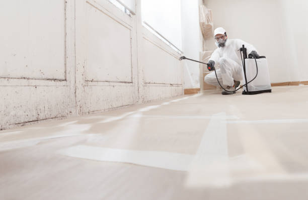 24/7 Emergency Mold Cleanup experts in Hamilton, IL